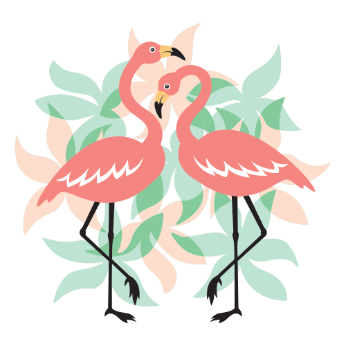 flamingos t-shirt design